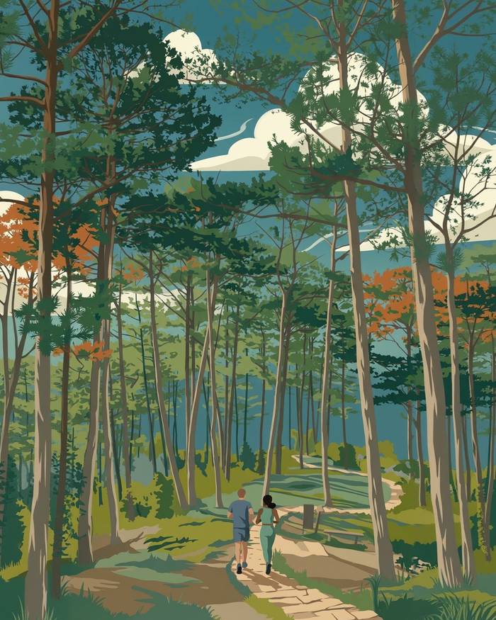 Pine forest above a lake